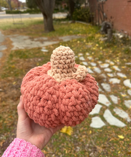 Turtle Pumpkin